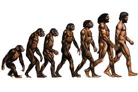 Картинки по запросу Эволюция человека